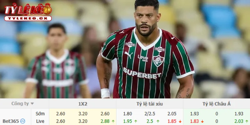 Soi Kèo Botafogo vs Fluminense (07h00 ngày 09/08) VĐQG Brazil 3 Chi tiết kèo Botafogo vs Fluminense