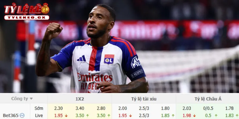 Chi tiết kèo Fenerbahce vs Lyon