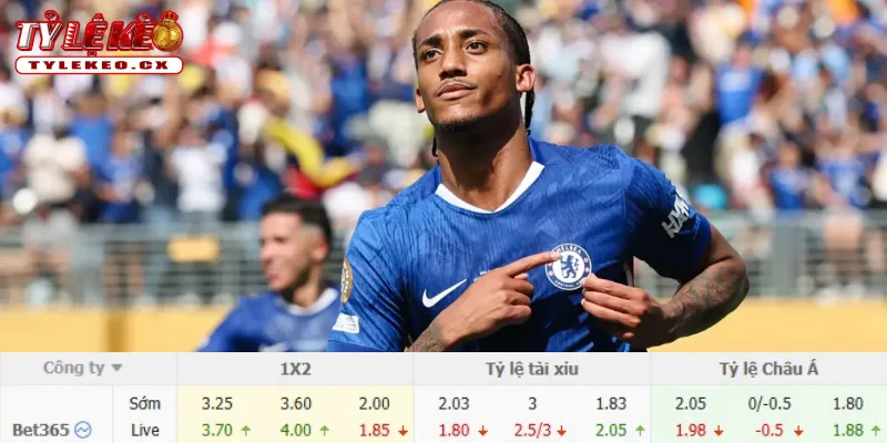 Chi tiết kèo Fulham vs Chelsea